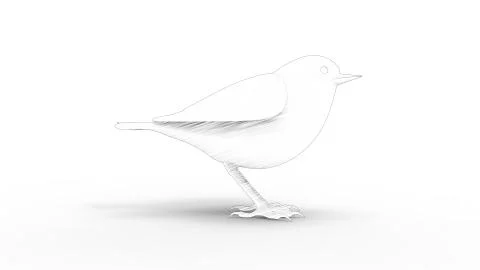 3d rendering of a computer model bird isolated in white background Stock Illustration