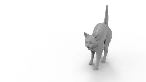 3D rendering of a computer model cat isolated in white background Stock Illustration