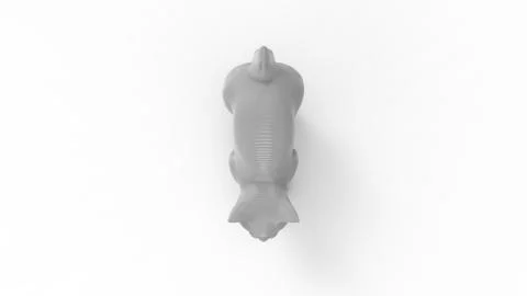 3D rendering of a computer model cat isolated in white background Stock Illustration
