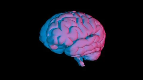 3D rendering of computer model of human brain and AI Illustrazione stock