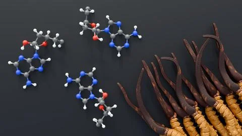 A 3d rendering of cordycepin molecules and cordyceps sinensis. Stock Illustration