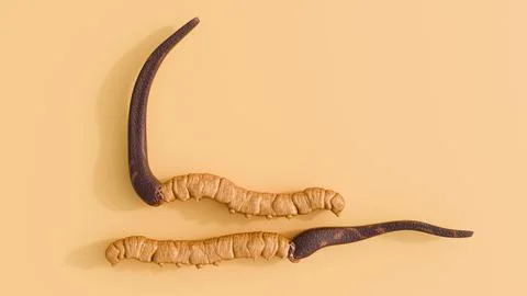 A 3d rendering of cordyceps. Stock Illustration