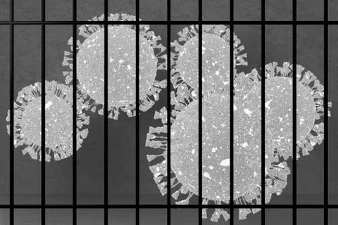 3D rendering coronavirus imprisoned in prison cell behind lattice 库存插图