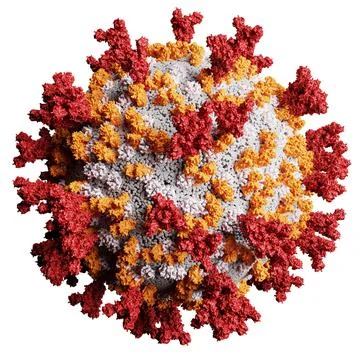 3D rendering of coronavirus SARS-CoV-2 Stock Illustration