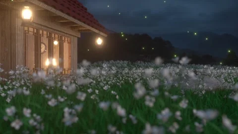 3D rendering country fields night Stock Footage 246289464