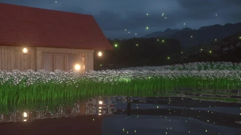 3D rendering country fields night Stock Footage 246289486