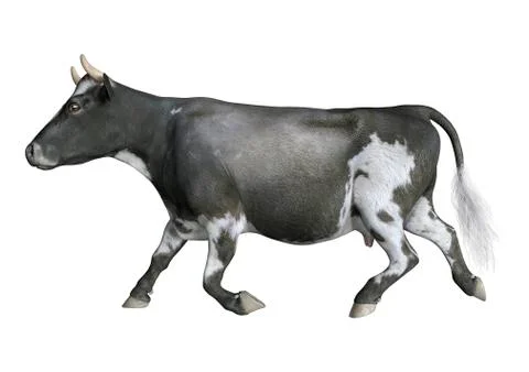 3D Rendering Cow on White Stock Illustration
