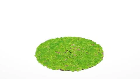 3d rendering. Cross section of circle with green grass isolated on white Stock Illustration