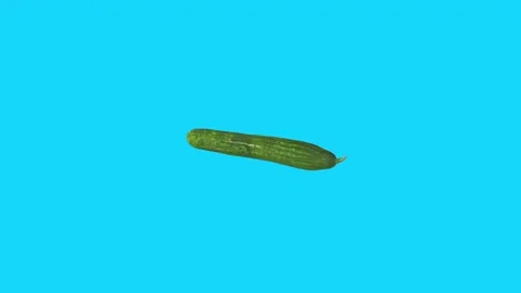 3D rendering of a cucumber on a vibrant blue background Stock-Footage 297584408