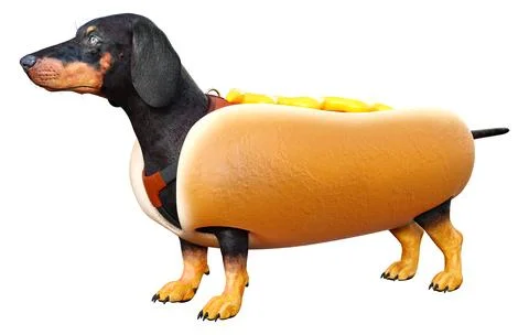 3D Rendering Dachshund Hot Dog on White Stock Illustration