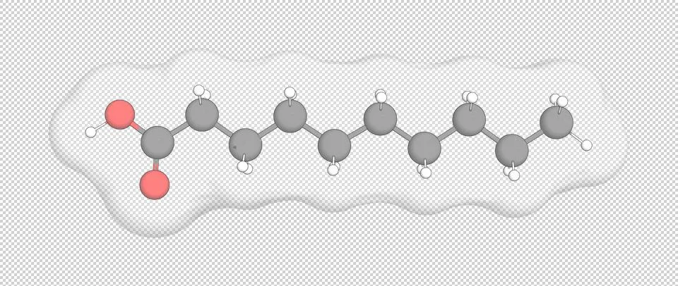 3D rendering of Decanoic Acid over a transparent background. Stock Illustration