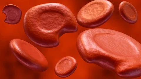 3D rendering of degmacytes, known as bite cells. Stock Illustration