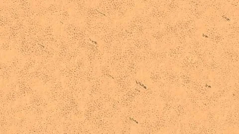 3D Rendering Of Desert Landscape Stock-Illustration