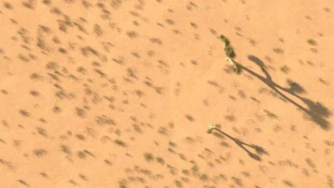 3D Rendering Of Desert Landscape Stock-Illustration