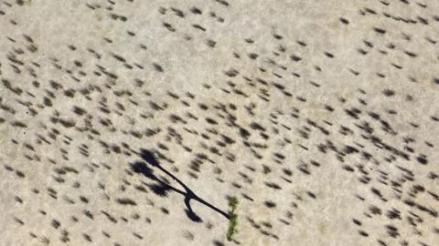 3D Rendering Of Desert Landscape Stock Illustration