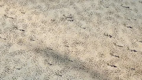 3D Rendering Of Desert Landscape Stock Illustration