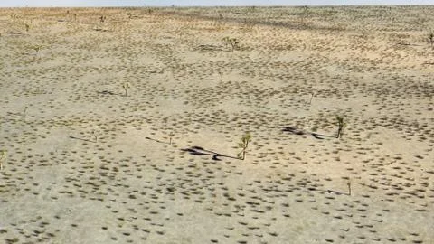 3D Rendering Of Desert Landscape Stock Illustration