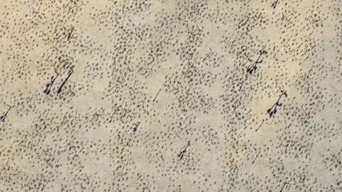 3D Rendering Of Desert Landscape Stock Illustration