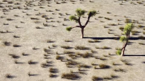 3D Rendering Of Desert Landscape Stock Illustration