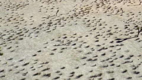 3D Rendering Of Desert Landscape Stock-Illustration