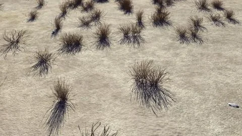 3D Rendering Of Desert Landscape Stock Illustration