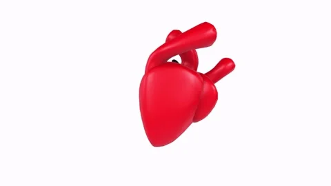 3D rendering of a detailed human heart model with anatomical features Stock Footage 287985856