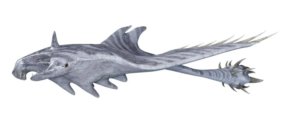 3D Rendering Devil Ray on White Stock Illustration