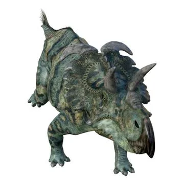 3D Rendering Dinosaur Albertaceratops on White Stock Illustration