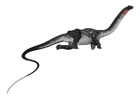 3D Rendering Dinosaur Apatosaurus on White Illustrazione stock