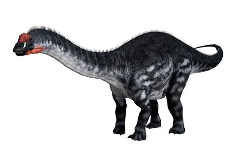 3D Rendering Dinosaur Apatosaurus on White Stock Illustration