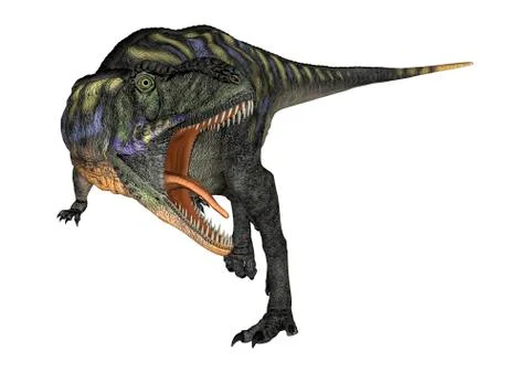 3D Rendering Dinosaur Aucasaurus on White Stock Illustration