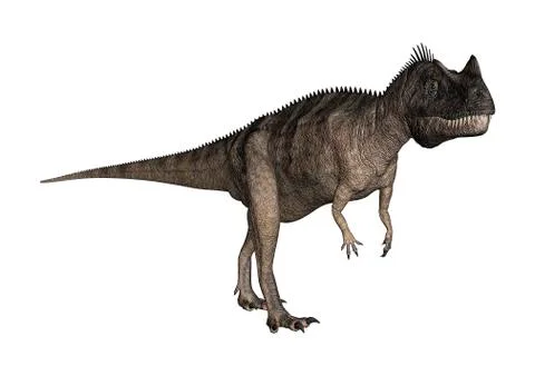 3D Rendering Dinosaur Ceratosaurus on White Stock Illustration