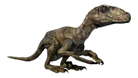 3D Rendering Dinosaur Deinonychus on White Stock Illustration