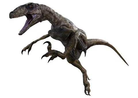 3D Rendering Dinosaur Deinonychus on White Stock Illustration