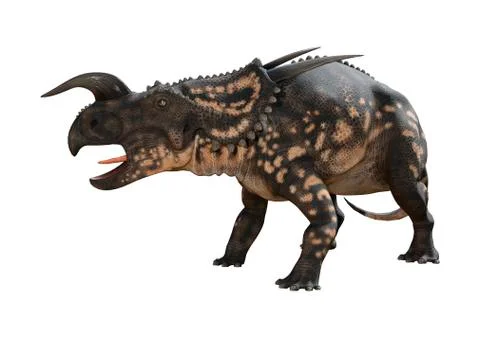 3D Rendering Dinosaur Einiosaurus on White Stock Illustration