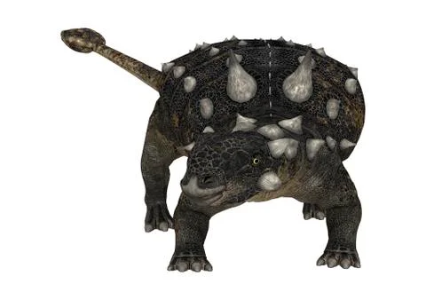 3D Rendering Dinosaur Euoplocephalus on White Illustrazione stock