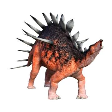 3D Rendering Dinosaur Kentrosaurus on White Stock Illustration