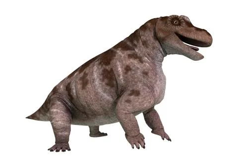 3D Rendering Dinosaur Keratocephalus on White Stock Illustration