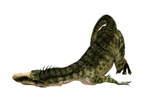 3D Rendering Dinosaur Monolophosaurus on White Stock Illustration