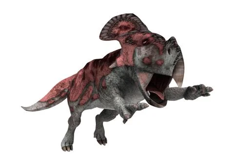 3D Rendering Dinosaur Protoceratops on White Illustrazione stock