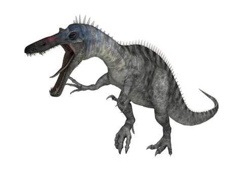 3D Rendering Dinosaur Suchomimus on White Illustrazione stock