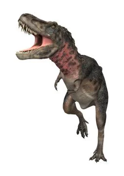 3D Rendering Dinosaur Tarbosaurus on White Stock Illustration