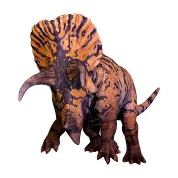 3D Rendering Dinosaur Triceratops  on White Stock Illustration