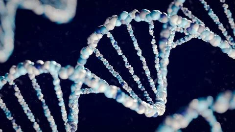 3D Rendering of DNA Double Helix Structures in Blue and White. 3D render. Foto stock