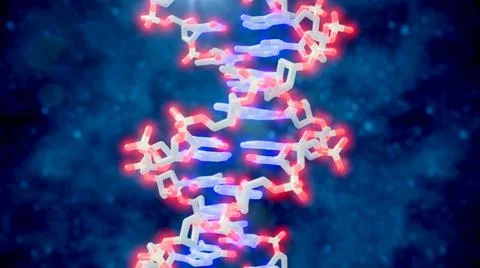 3D rendering of DNA helix - sticks and atoms Stock Illustration