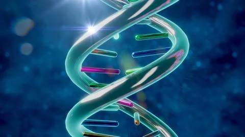 3D Rendering of DNA Helix Sticks Structure Stock Illustration