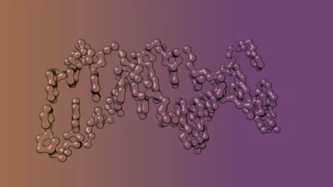 3D rendering of DNA macromolecular biopolymer chains forming a double helix  Stock Footage 130214390