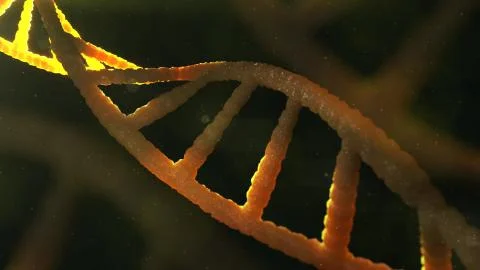 3d rendering of DNA molecule structure on dark. Stock Illustration