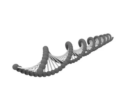 3d rendering of DNA string isolated in white background 스톡 일러스트