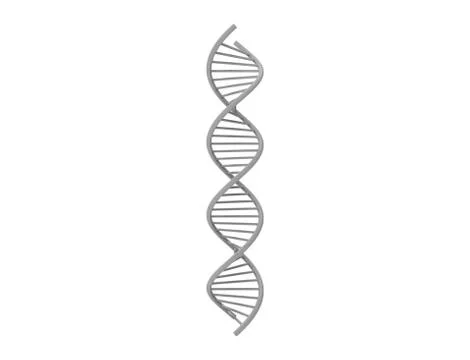 3d rendering of DNA string isolated in white background Stock Illustration